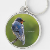 Mooie Barn Swallow Songbird op Branch Sleutelhanger (Voorkant)