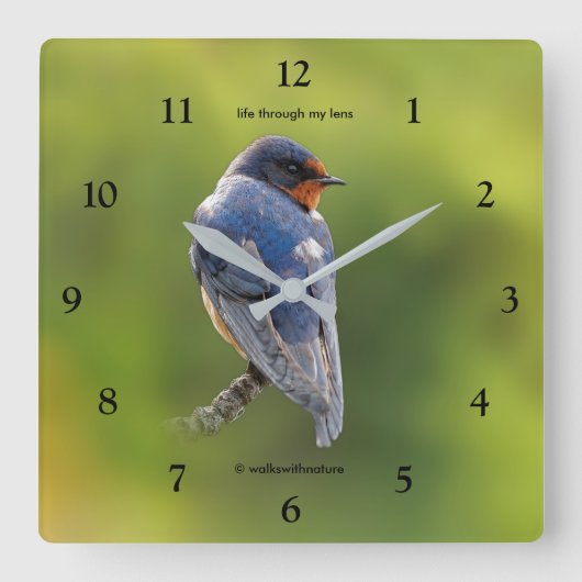 Mooie Barn Swallow Songbird op Branch Vierkante Klok (Voorkant)