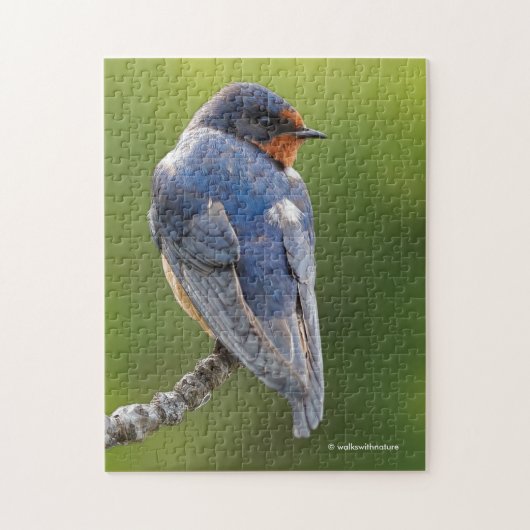 Mooie Barn Swallow Songbird op een Branch Legpuzzel (Verticaal)