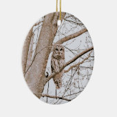 Mooie Barred Owl Audubon kerst Keramisch Ornament (Rechts)