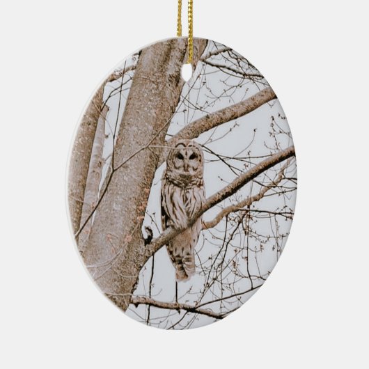 Mooie Barred Owl Audubon kerst Keramisch Ornament (Rechts)