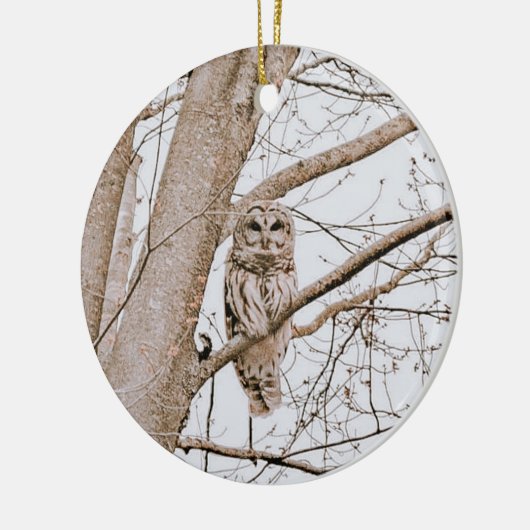 Mooie Barred Owl Audubon kerst Keramisch Ornament (Links)