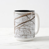 Mooie Barred Owl Audubon Tweekleurige Koffiemok (Voorkant rechts)