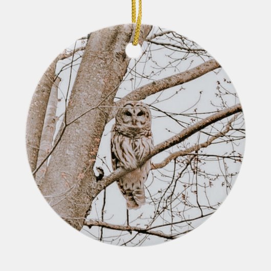 Mooie Barred Owl Audubon Valentijn Keramisch Ornament (Voorkant)