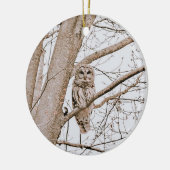 Mooie Barred Owl Audubon Valentijn Keramisch Ornament (Links)