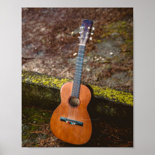 Mooie bass Guitar Poster