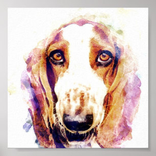 Mooie Basset Hound Hondengezicht Poster
