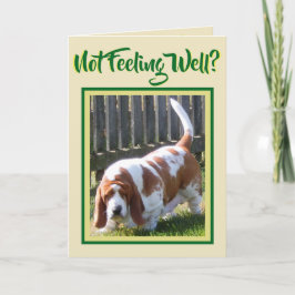 Mooie "Basset Hound" met madeliefje op "Beterschap Kaart