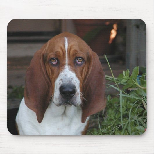 Mooie Basset Hound-Muismat Muismat (Voorkant)