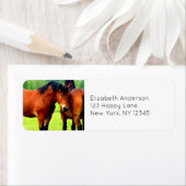 Mooie Bay Draft Horses in Lush Green Meadow Etiket (Insitu)