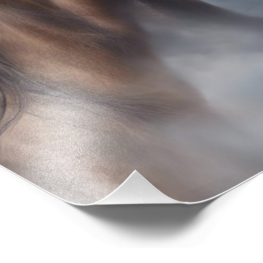 Mooie Bay Horse Art Foto Afdruk (Hoek)