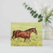 Mooie Bay Horse Briefkaart (Staand voorkant)