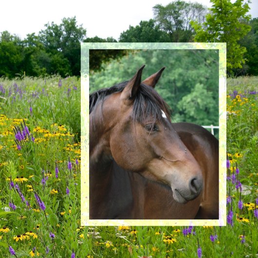 Mooie Bay Horse Briefkaart