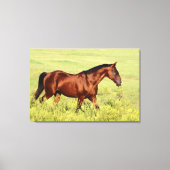 Mooie Bay Horse Canvas Afdruk (Voorkant)