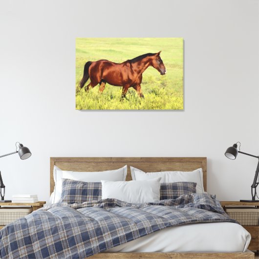 Mooie Bay Horse Canvas Afdruk (Insitu (Slaapkamer))