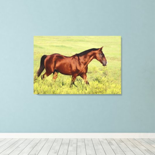 Mooie Bay Horse Canvas Afdruk (Insitu (Houten vloer))