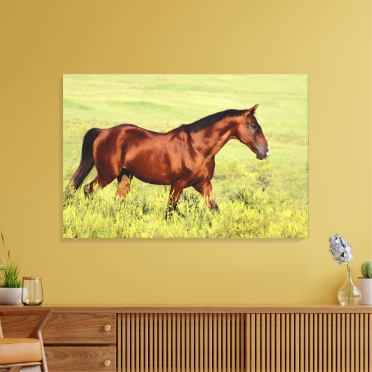 Mooie Bay Horse Canvas Afdruk (Insitu (Woonkamer))