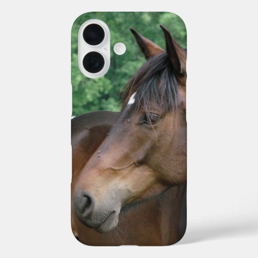 Mooie Bay Horse Face Case-Mate iPhone Case (Achterkant)