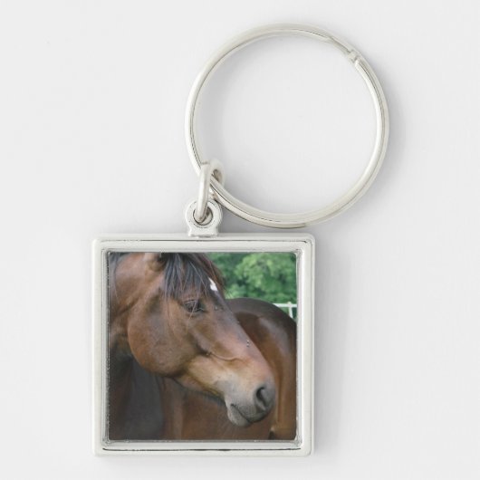 Mooie Bay Horse Sleutelhanger (Voorkant)