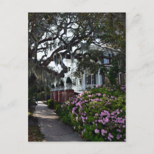 Mooie Beaufort, South Carolina Briefkaart