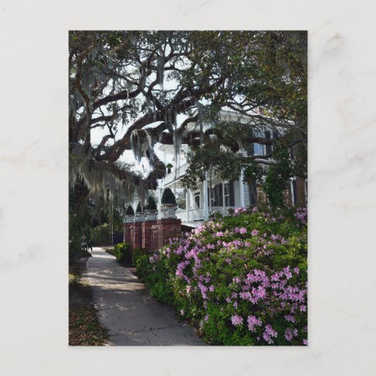 Mooie Beaufort, South Carolina Briefkaart (Voorkant)