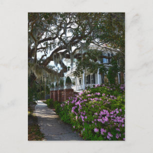 Mooie Beaufort, Zuid-Carolina Briefkaart