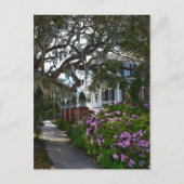 Mooie Beaufort, Zuid-Carolina Briefkaart (Voorkant)