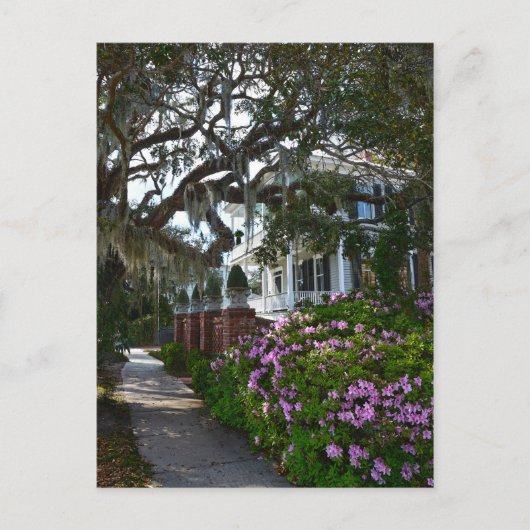 Mooie Beaufort, Zuid-Carolina Briefkaart (Voorkant)