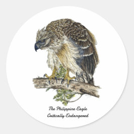 Mooie bedreigde Filipijnse adelaar kunstwerk Ronde Sticker