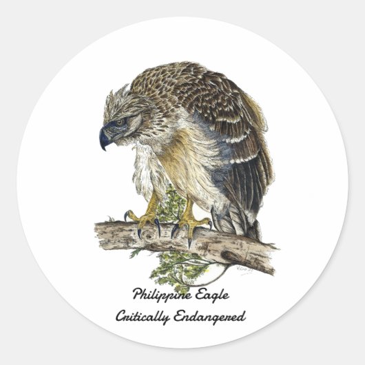 Mooie bedreigde Filipijnse adelaar kunstwerk Ronde Sticker (Voorkant)