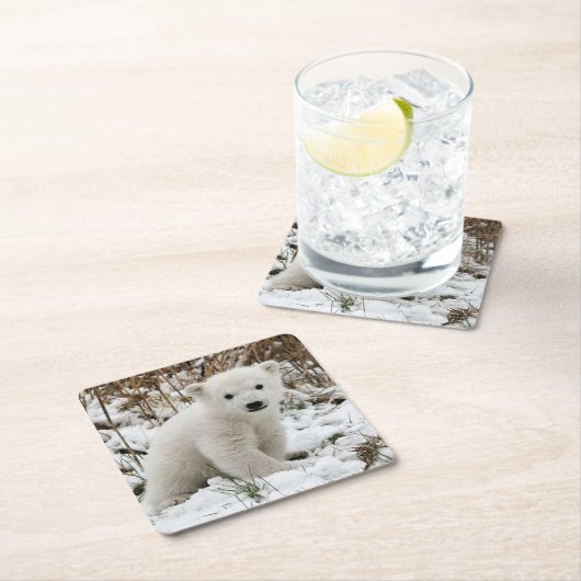 Mooie Beer Cub Kartonnen Onderzetters (Insitu)