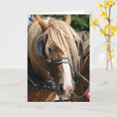 Mooie Belg Kaart (Gele Bloem)