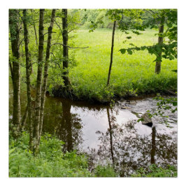 Mooie Belgische bos en rivier, reizen Perfect Poster