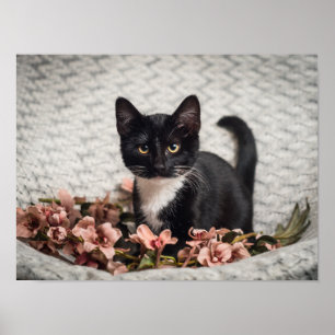 Mooie Bella Rose Poster