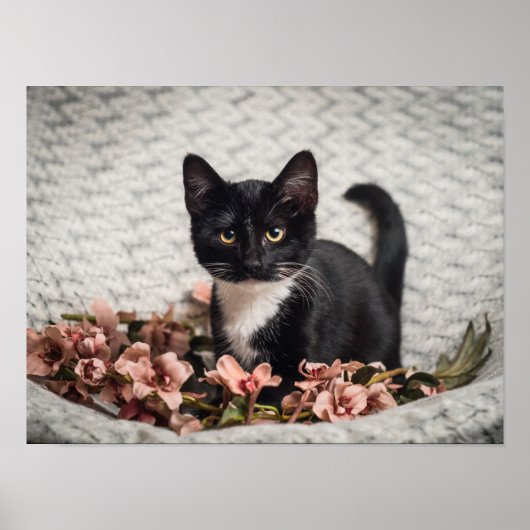 Mooie Bella Rose Poster (Voorkant)