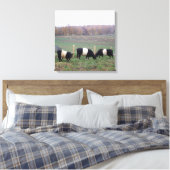 Mooie Belted Galloway kudde in de Herfst Canvas Afdruk (Insitu (Slaapkamer))