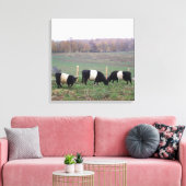 Mooie Belted Galloway kudde in de Herfst Canvas Afdruk (Insitu (Woonkamer))