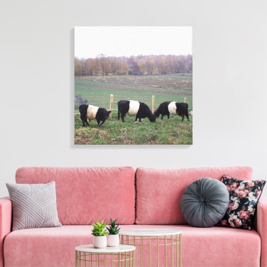 Mooie Belted Galloway kudde in de Herfst Canvas Afdruk (Insitu (Woonkamer))