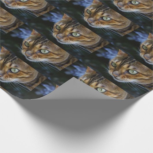Mooie bengaals kat cadeaupapier (Hoek)