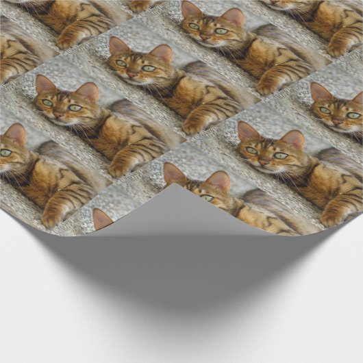 Mooie bengaals kat cadeaupapier (Hoek)