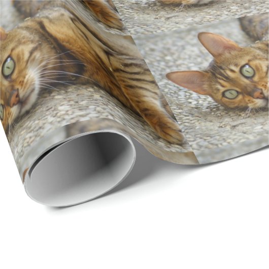 Mooie bengaals kat cadeaupapier (Rol Hoek)