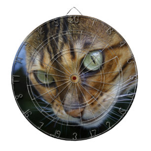 Mooie bengaals kat dartbord