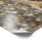 Mooie bengaals kat foto afdruk (Hoek)