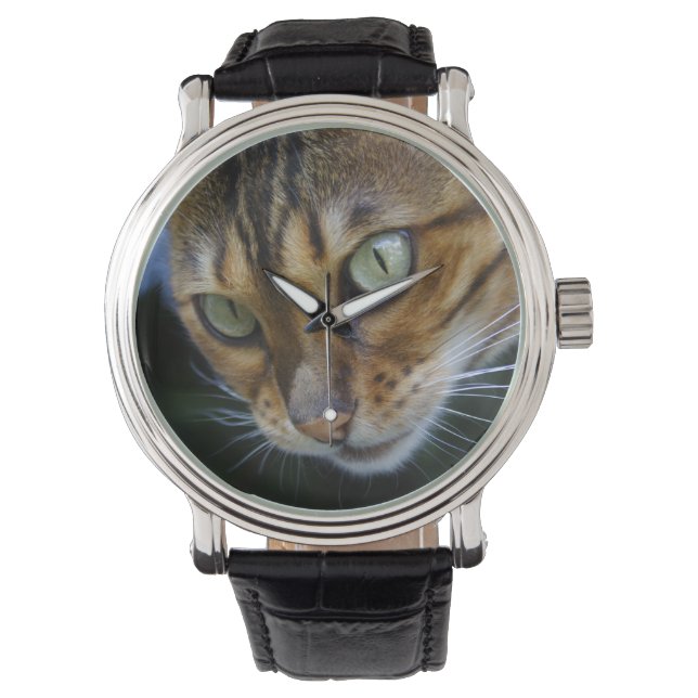 Mooie bengaals kat horloge (Voorkant)