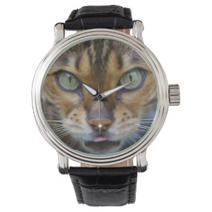 Mooie bengaals kat horloge