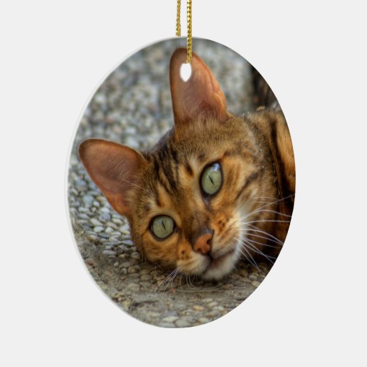 Mooie bengaals kat keramisch ornament (Rechts)