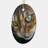 Mooie bengaals kat keramisch ornament (Links)