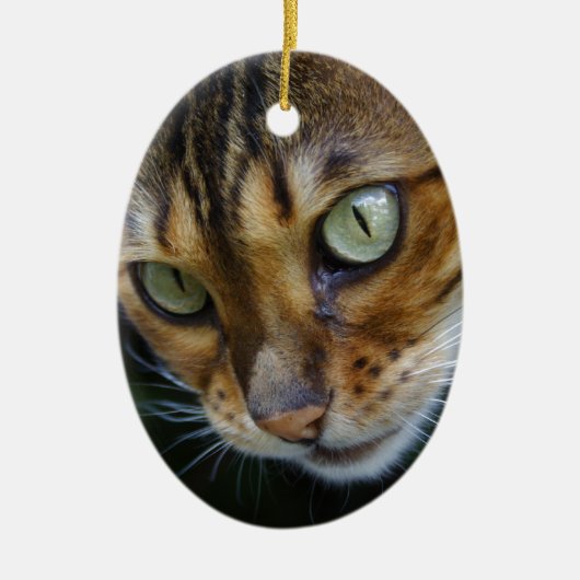 Mooie bengaals kat keramisch ornament (Voorkant)