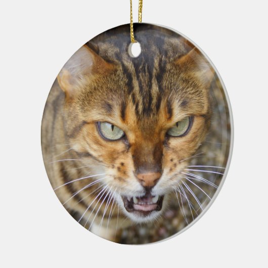 Mooie bengaals kat keramisch ornament (Links)