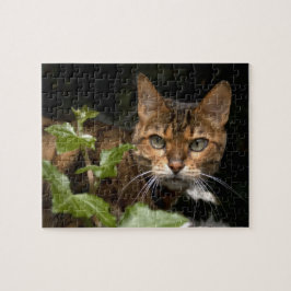 Mooie bengaals kat legpuzzel